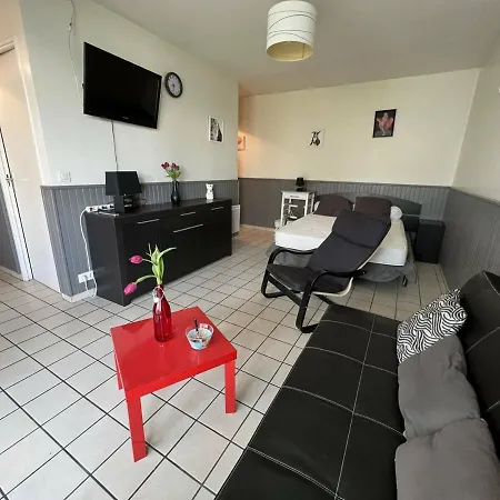 Appartamento 2 Personnes, Terrasse Fermee, Animaux Toleres, Proche Parking - - Fr-1-495-63