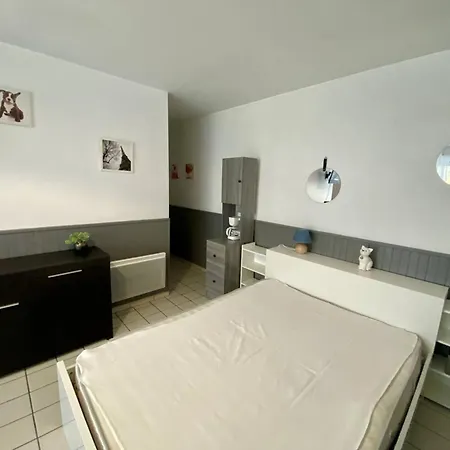 아파트 2 Personnes, Terrasse Fermee, Animaux Toleres, Proche Parking - - Fr-1-495-63