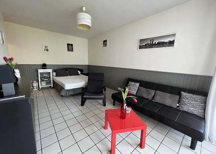 2 Personnes, Terrasse Fermee, Animaux Toleres, Proche Parking - - Fr-1-495-63 Cambo-les-Bains